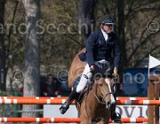 Le Jeune Once TosTour2013- S5 2563 : Arezzo, Arezzo Equestrian Centre, Le Jeune Philippe, Once de Kreisker, Toscana Tour 2013, foto di Stefano Secchi ©